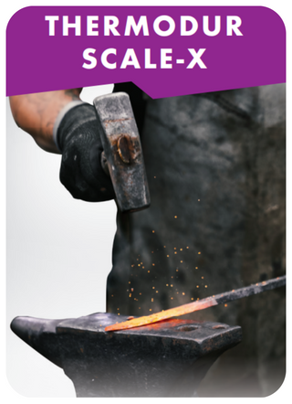 Scale-X