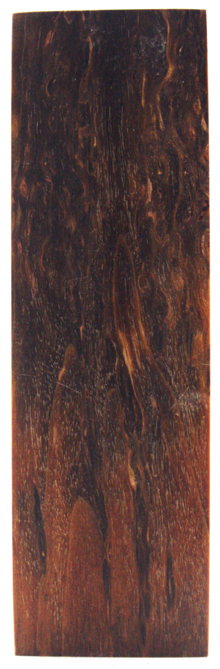 Karelian curly birch #175