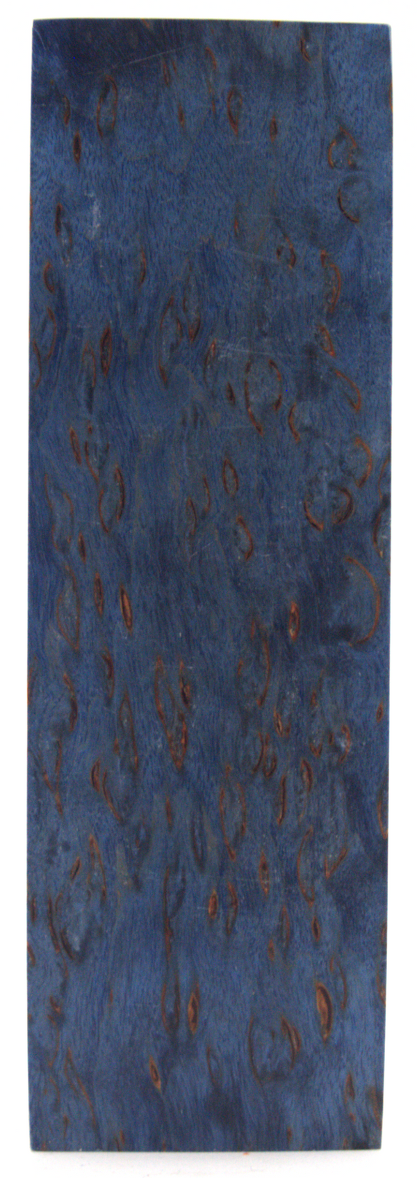 Karelian Birch #232