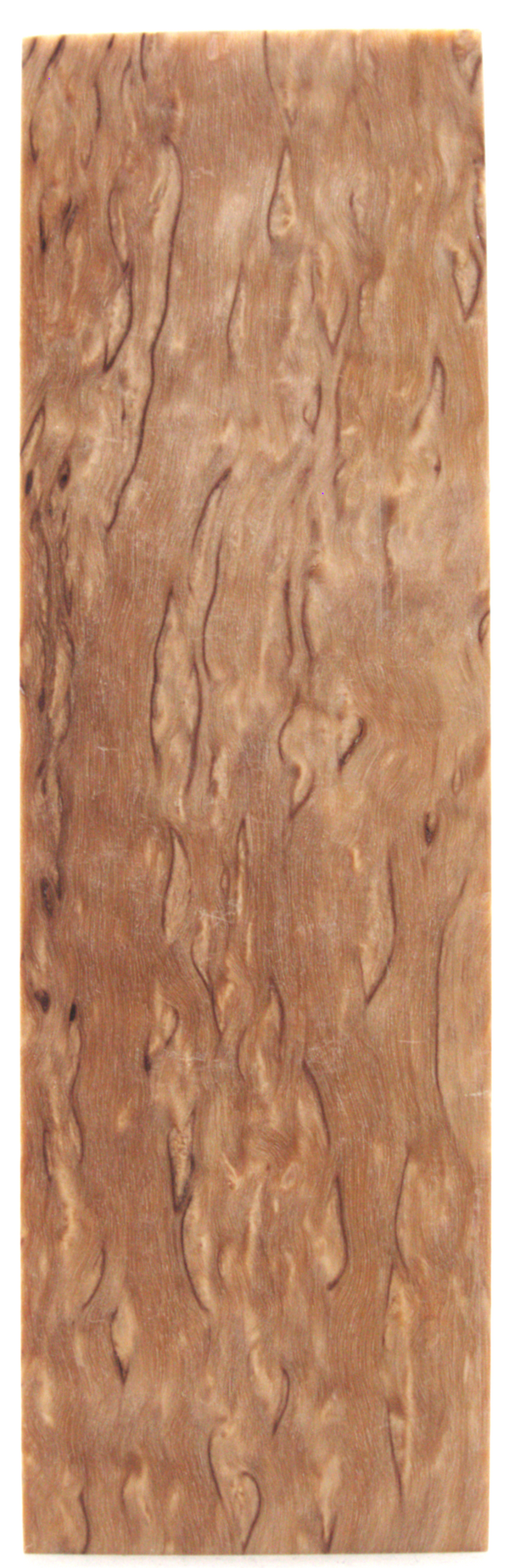 Karelian curly birch #297