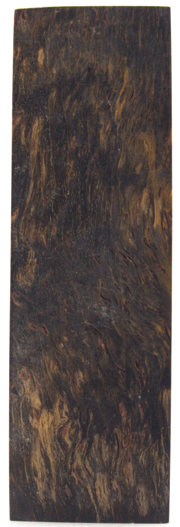 Karelian curly birch #71
