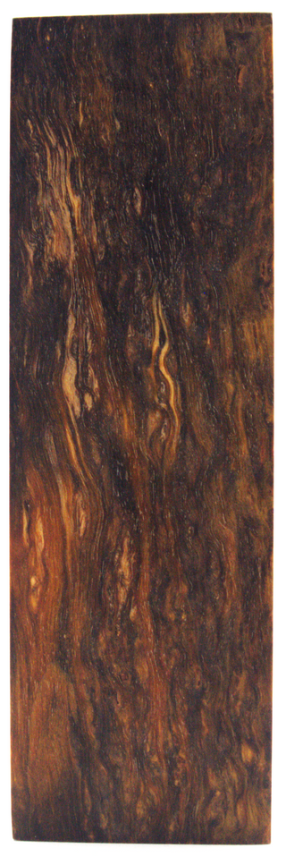 Karelian curly birch #91